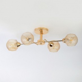 Потолочная люстра Rivoli Amalia Б0050815 в Кудымкаре - kudymkar.mebel24.online | фото 5