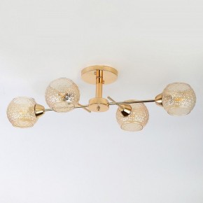 Потолочная люстра Rivoli Amalia Б0050815 в Кудымкаре - kudymkar.mebel24.online | фото 7