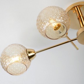Потолочная люстра Rivoli Amalia Б0050815 в Кудымкаре - kudymkar.mebel24.online | фото 8