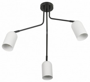 Потолочная люстра Rivoli Rosalinda Б0064987 в Кудымкаре - kudymkar.mebel24.online | фото