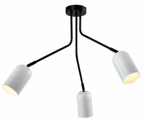 Потолочная люстра Rivoli Rosalinda Б0064987 в Кудымкаре - kudymkar.mebel24.online | фото 2