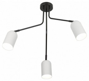 Потолочная люстра Rivoli Rosalinda Б0064987 в Кудымкаре - kudymkar.mebel24.online | фото 4