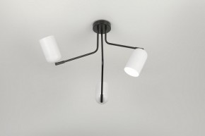Потолочная люстра Rivoli Rosalinda Б0064987 в Кудымкаре - kudymkar.mebel24.online | фото 7