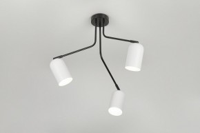 Потолочная люстра Rivoli Rosalinda Б0064987 в Кудымкаре - kudymkar.mebel24.online | фото 8