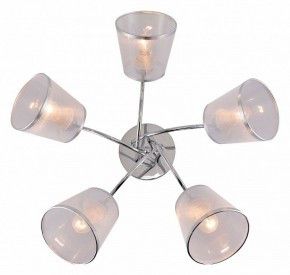 Потолочная люстра Rivoli Shirley Б0059982 в Кудымкаре - kudymkar.mebel24.online | фото 3