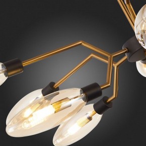 Потолочная люстра ST-Luce Desima SL1174.303.12 в Кудымкаре - kudymkar.mebel24.online | фото 10