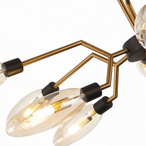 Потолочная люстра ST-Luce Desima SL1174.303.12 в Кудымкаре - kudymkar.mebel24.online | фото 11