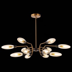 Потолочная люстра ST-Luce Desima SL1174.303.12 в Кудымкаре - kudymkar.mebel24.online | фото 2