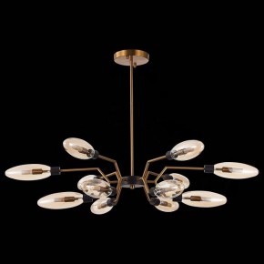 Потолочная люстра ST-Luce Desima SL1174.303.12 в Кудымкаре - kudymkar.mebel24.online | фото 4