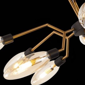 Потолочная люстра ST-Luce Desima SL1174.303.12 в Кудымкаре - kudymkar.mebel24.online | фото 9