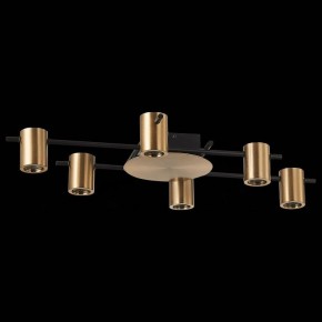 Потолочная люстра ST-Luce Veroli SL1207.402.06 в Кудымкаре - kudymkar.mebel24.online | фото 2