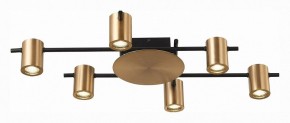 Потолочная люстра ST-Luce Veroli SL1207.402.06 в Кудымкаре - kudymkar.mebel24.online | фото 3