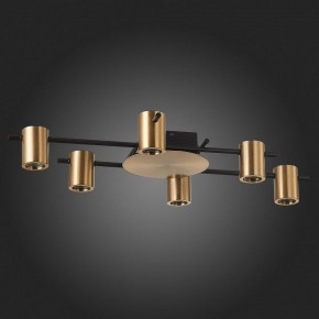 Потолочная люстра ST-Luce Veroli SL1207.402.06 в Кудымкаре - kudymkar.mebel24.online | фото 4
