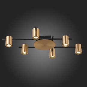 Потолочная люстра ST-Luce Veroli SL1207.402.06 в Кудымкаре - kudymkar.mebel24.online | фото 6