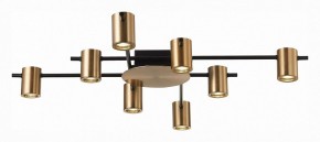 Потолочная люстра ST-Luce Veroli SL1207.402.08 в Кудымкаре - kudymkar.mebel24.online | фото 2