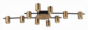 Потолочная люстра ST-Luce Veroli SL1207.402.10 в Кудымкаре - kudymkar.mebel24.online | фото 2