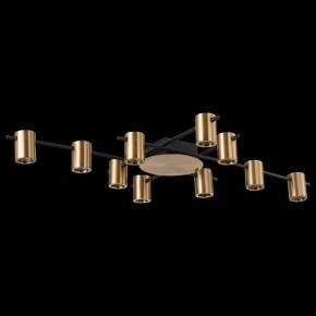 Потолочная люстра ST-Luce Veroli SL1207.402.10 в Кудымкаре - kudymkar.mebel24.online | фото 3