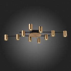 Потолочная люстра ST-Luce Veroli SL1207.402.10 в Кудымкаре - kudymkar.mebel24.online | фото 6