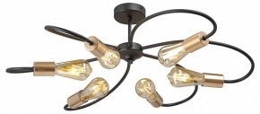 Потолочная люстра Vitaluce V3076 V3076-1/6PL в Кудымкаре - kudymkar.mebel24.online | фото 3
