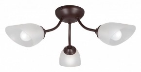 Потолочная люстра Vitaluce V3184 V3404/3PL в Кудымкаре - kudymkar.mebel24.online | фото