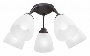 Потолочная люстра Vitaluce V3184 V3737-2/5PL в Кудымкаре - kudymkar.mebel24.online | фото