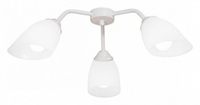 Потолочная люстра Vitaluce V31950 V31950/3PL в Кудымкаре - kudymkar.mebel24.online | фото
