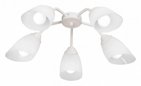 Потолочная люстра Vitaluce V31950 V31950/5PL в Кудымкаре - kudymkar.mebel24.online | фото