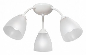 Потолочная люстра Vitaluce V3737 V3737-0/3PL в Кудымкаре - kudymkar.mebel24.online | фото