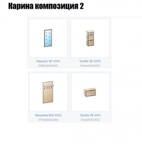 Прихожая Карина (модульная) в Кудымкаре - kudymkar.mebel24.online | фото 6