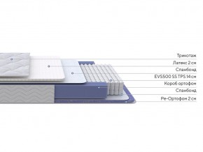 PROxSON Матрас Active Duo S/F (Ткань Трикотаж Эко) 120x195 в Кудымкаре - kudymkar.mebel24.online | фото 2