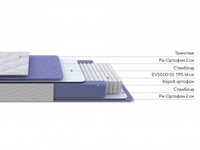 PROxSON Матрас Active F (Ткань Трикотаж Эко) 80x190 в Кудымкаре - kudymkar.mebel24.online | фото 2