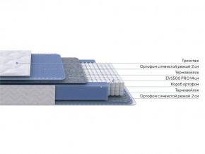 PROxSON Матрас Active M Roll (Ткань Трикотаж Эко) 80x190 в Кудымкаре - kudymkar.mebel24.online | фото 2