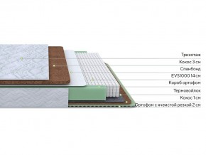 PROxSON Матрас Green Duo M/F (Tricotage Dream) 120x200 в Кудымкаре - kudymkar.mebel24.online | фото 3