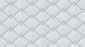 PROxSON Матрас Standart Plus M (Ткань Жаккард) 120x190 в Кудымкаре - kudymkar.mebel24.online | фото 9