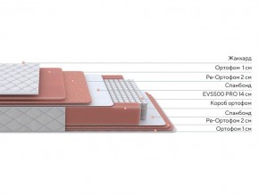 PROxSON Матрас Standart Plus M (Ткань Жаккард) 120x200 в Кудымкаре - kudymkar.mebel24.online | фото 2
