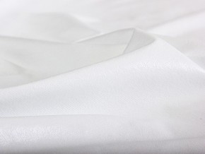 PROxSON Защитный чехол Aqua Save Plush S (Ткань влагостойкая Coral Fleece) 200x190 в Кудымкаре - kudymkar.mebel24.online | фото 6