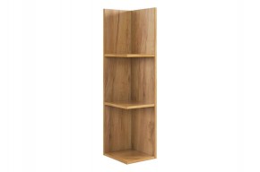 РИЧ Полка навесная 2 в Кудымкаре - kudymkar.mebel24.online | фото 4