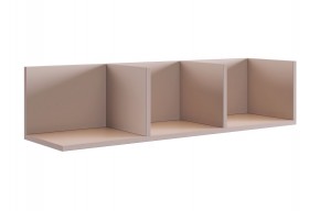 РИЧ Полка навесная 2 (кашемир) в Кудымкаре - kudymkar.mebel24.online | фото