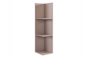 РИЧ Полка навесная 2 (кашемир) в Кудымкаре - kudymkar.mebel24.online | фото 4