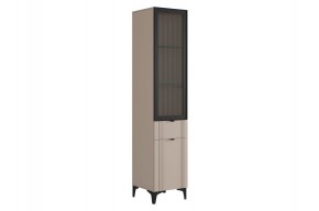 РИЧ Шкаф однодверный со стеклом в Кудымкаре - kudymkar.mebel24.online | фото 1