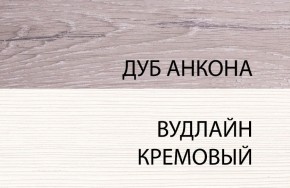 Шкаф 1DZ, OLIVIA, цвет вудлайн крем/дуб анкона в Кудымкаре - kudymkar.mebel24.online | фото 3