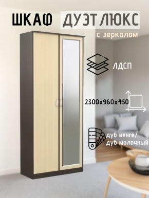 Шкаф 2-х створчатый Дуэт Люкс с зеркалом в Кудымкаре - kudymkar.mebel24.online | фото