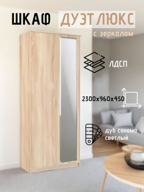 Шкаф 2-х створчатый Дуэт Люкс с зеркалом в Кудымкаре - kudymkar.mebel24.online | фото 7