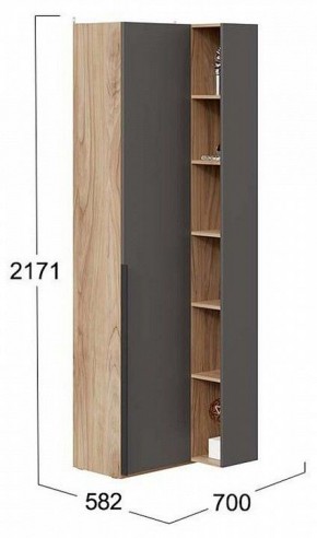 Шкаф комбинированный Порто СМ-393.21.024 в Кудымкаре - kudymkar.mebel24.online | фото 2