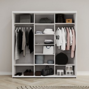 Шкаф-купе Акцент-Сим З 2400-600 в Кудымкаре - kudymkar.mebel24.online | фото 2