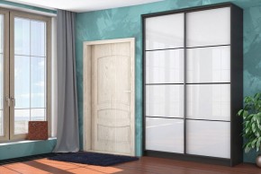 Шкаф-купе Байкал-2 СТЛ.268.11 в Кудымкаре - kudymkar.mebel24.online | фото 3