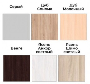 Шкаф-купе ХИТ 22-18-111 (620) в Кудымкаре - kudymkar.mebel24.online | фото 3
