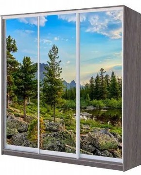 Шкаф-купе ХИТ 22-20/2-777 ПРИРОДА в Кудымкаре - kudymkar.mebel24.online | фото