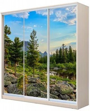 Шкаф-купе ХИТ 22-20-777 ПРИРОДА в Кудымкаре - kudymkar.mebel24.online | фото