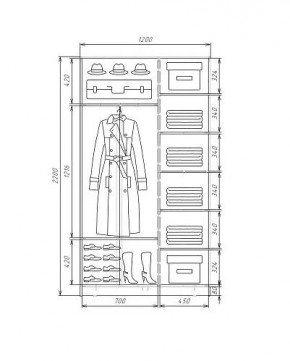 Шкаф-купе ХИТ 22-4-12-88 (420) в Кудымкаре - kudymkar.mebel24.online | фото 5